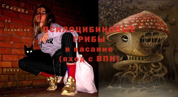 герыч Каменногорск
