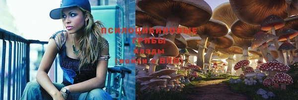 герыч Каменногорск